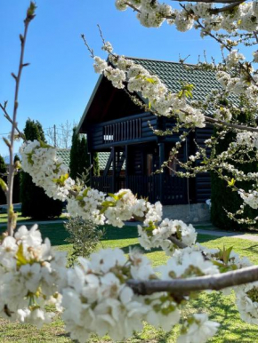 Wooden House